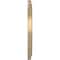 Ekena Millwork PVC Medallion (Canopies up to 11 1/2"), 19"OD x 3 1/2"ID x 1 1/2"P, Metallic Champagne Mist CMP19TRECE - alternate 2
